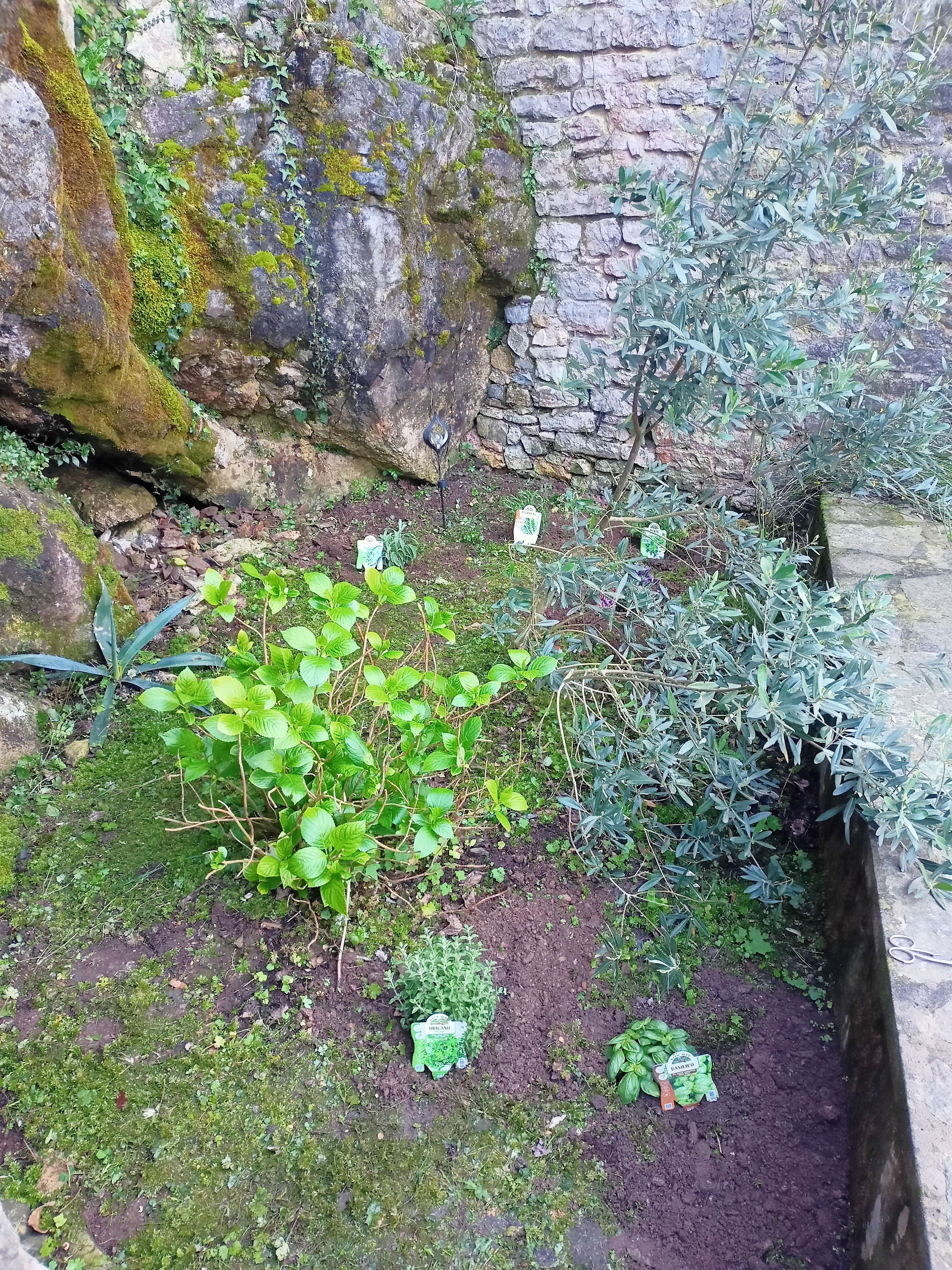 Ampio giardino esterno con erba e verde mediterraneo
